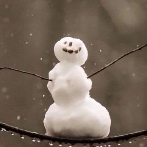 Meet your Posher, Jodi